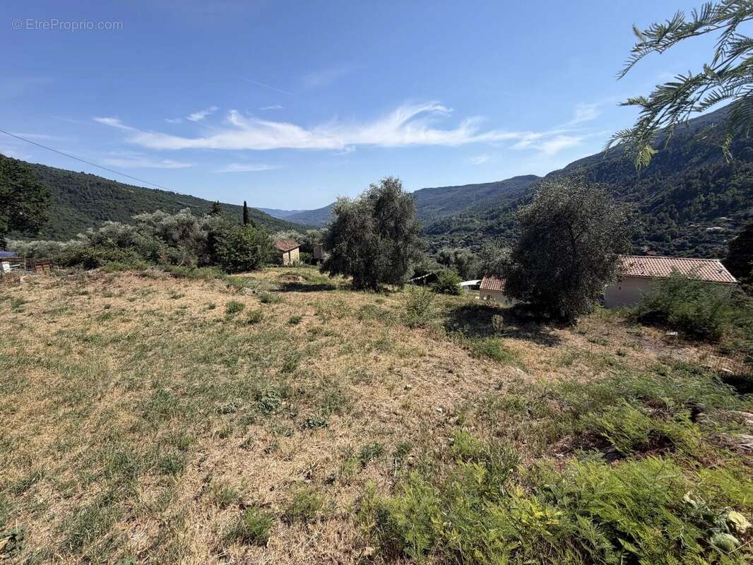 Terrain à COARAZE