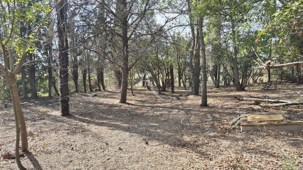 Terrain à OUVEILLAN