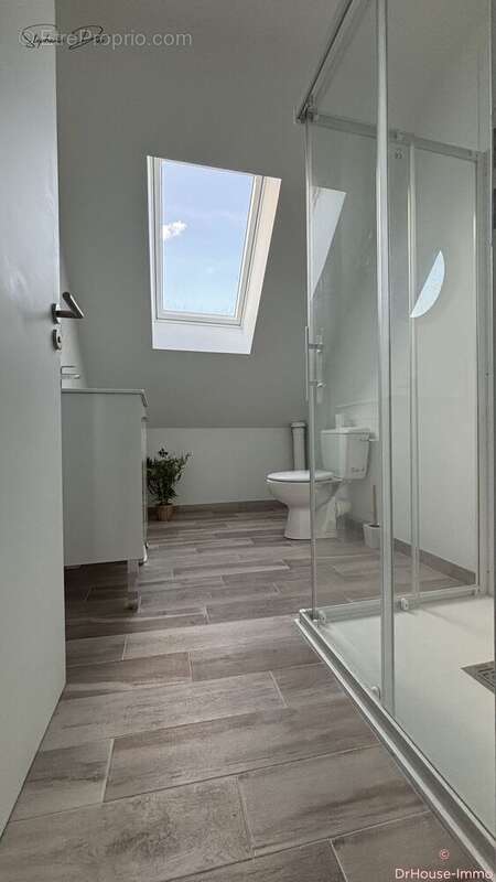 Maison à LA CHAPELLE-SAINT-MESMIN