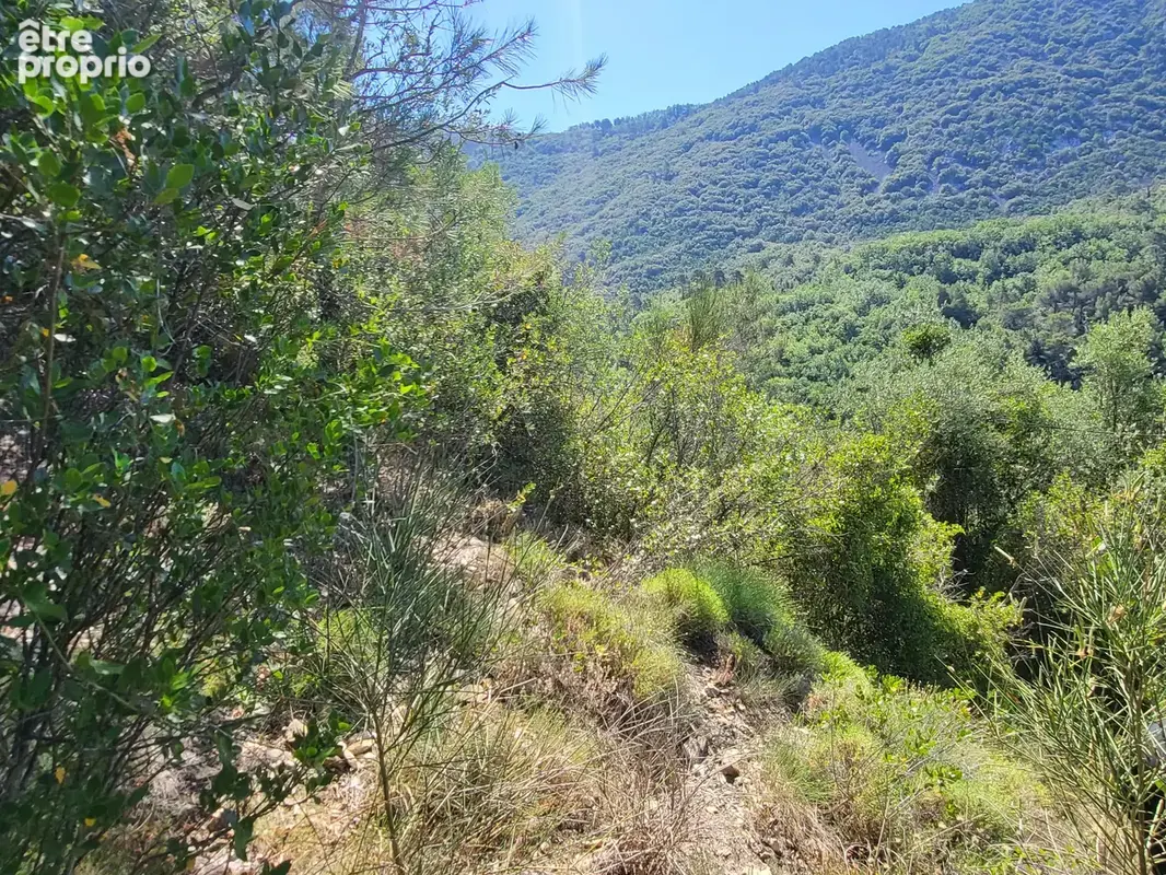 Terrain à PEILLE