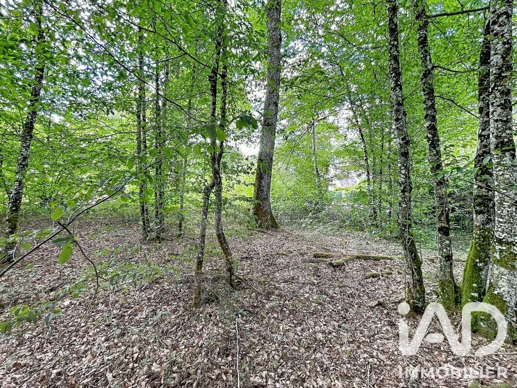 Terrain 893 m² à Courtenay  - photo 4