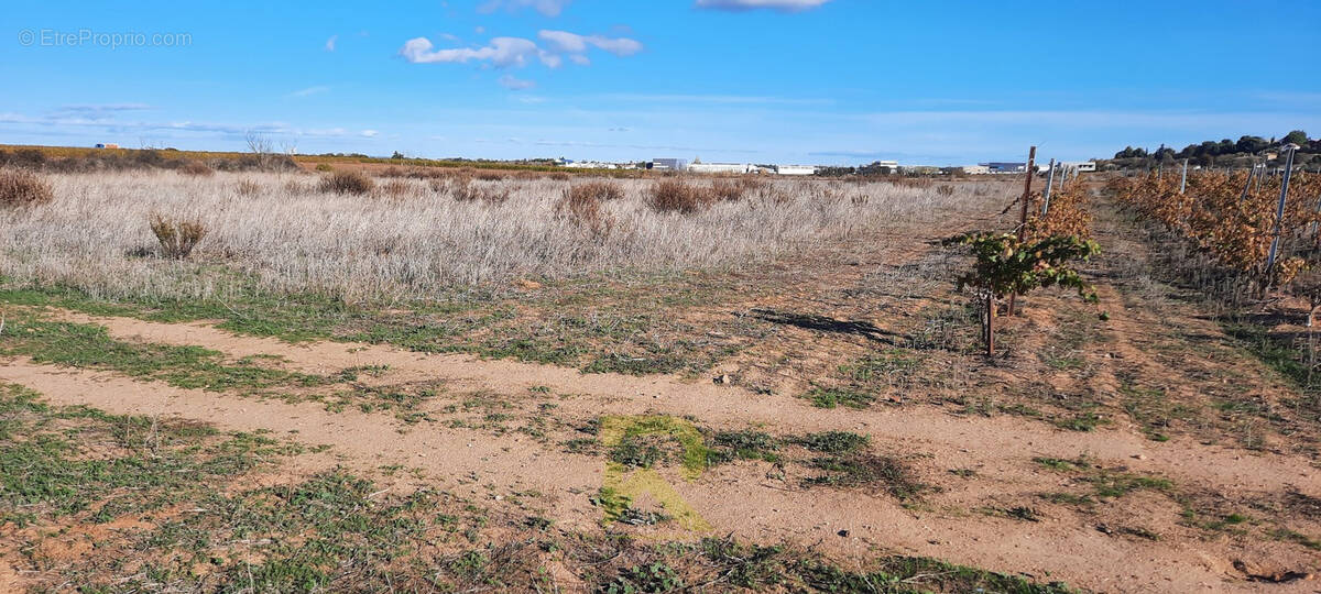 Terrain à PORTIRAGNES