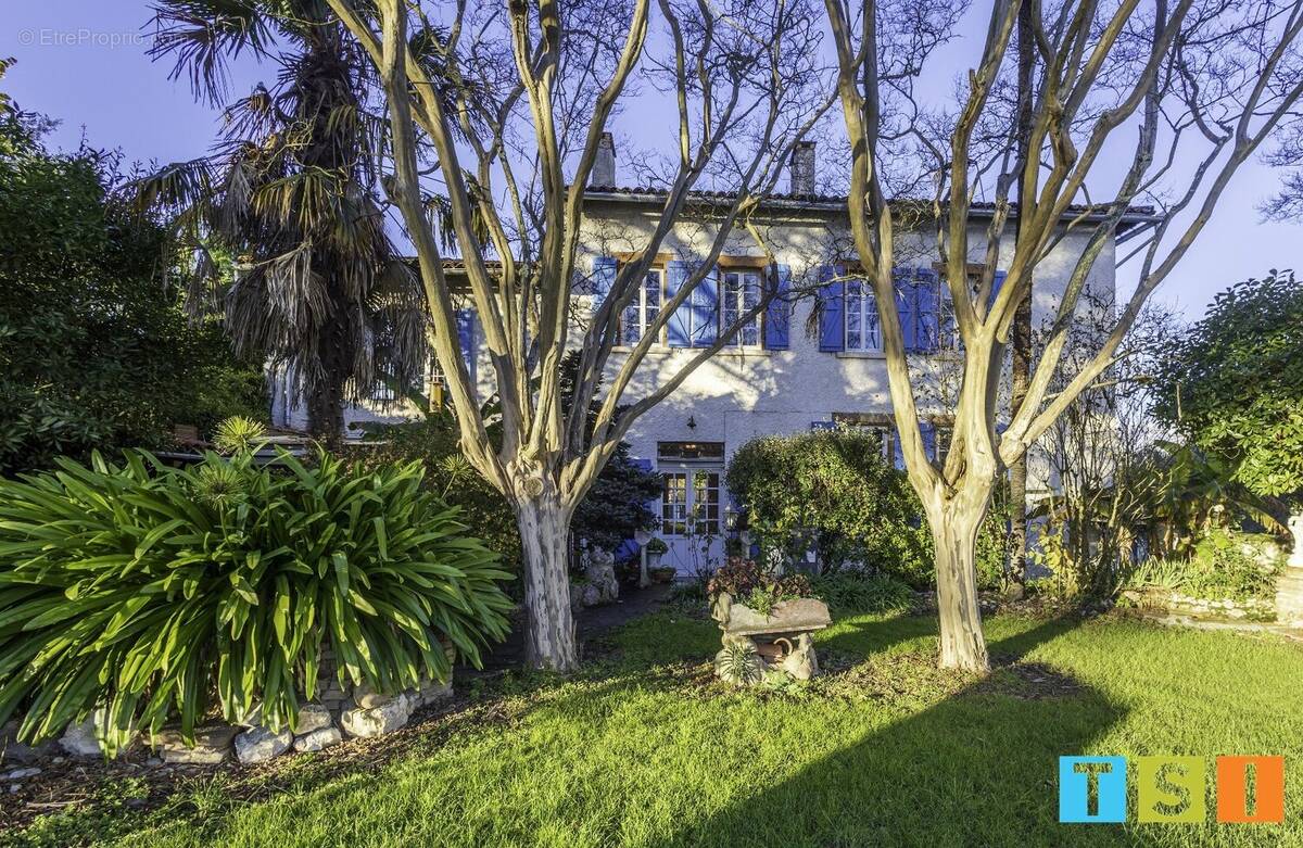 Maison à MONTESQUIEU-VOLVESTRE