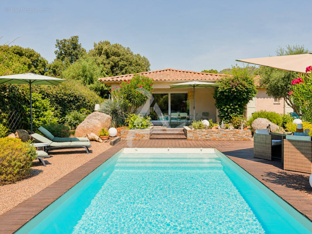 Maison à ZONZA