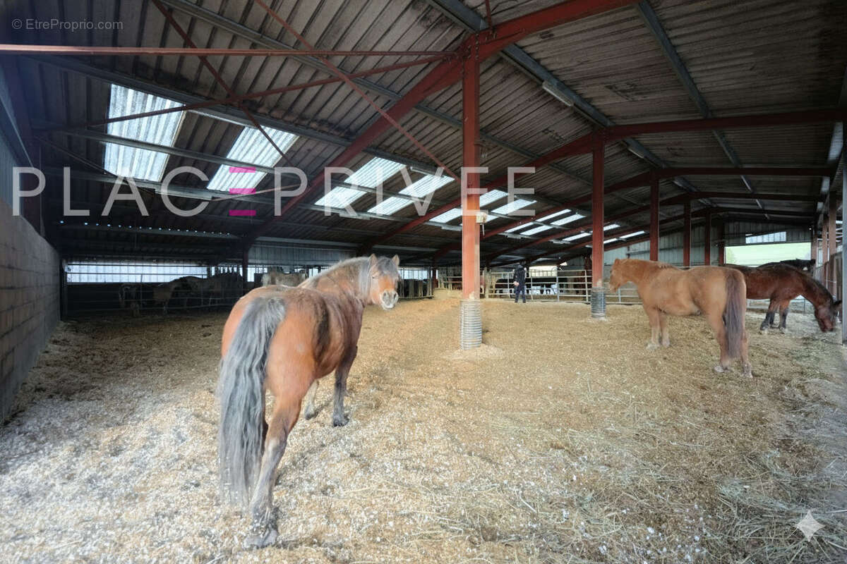 Maison à GEMAINGOUTTE