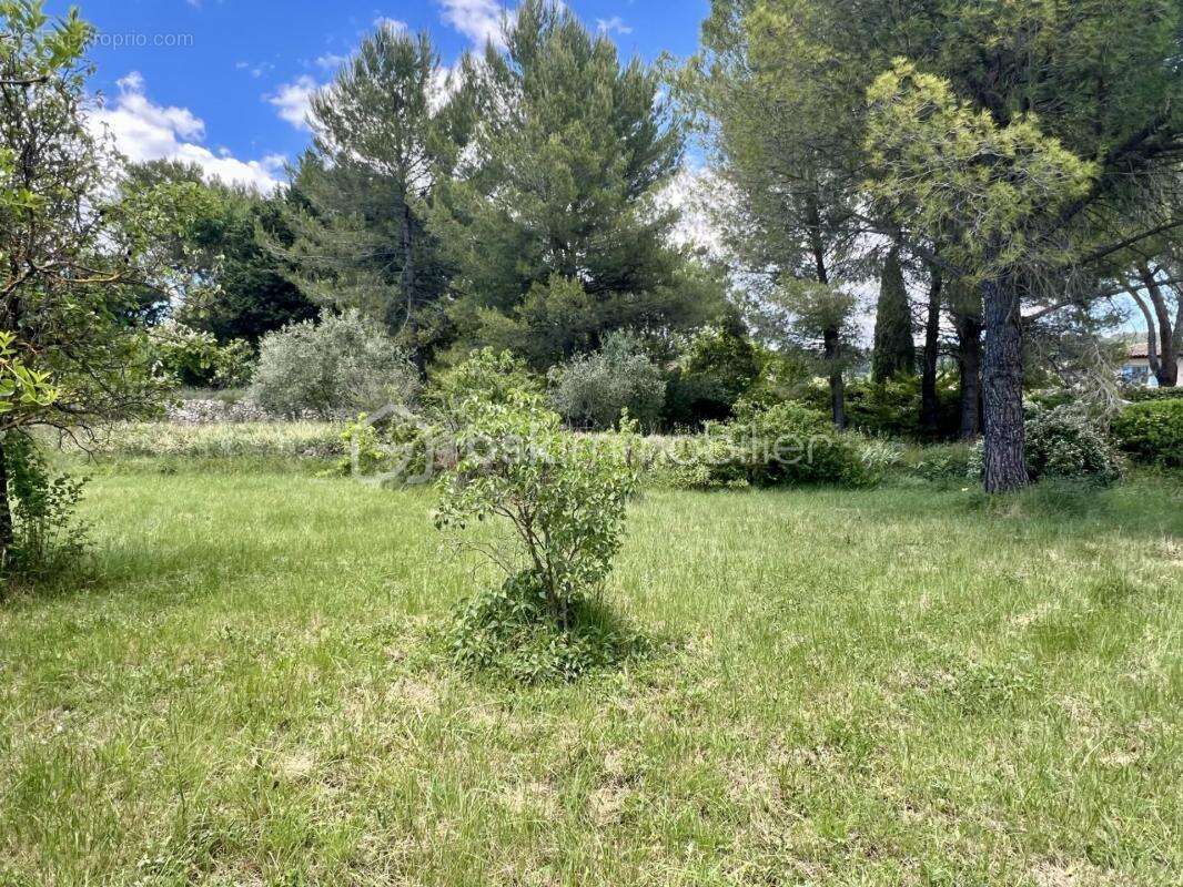 Très beau Terrain constructible au calme et proche des commodités - photo 2