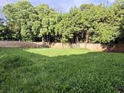 Terrain à BAILLARGUES