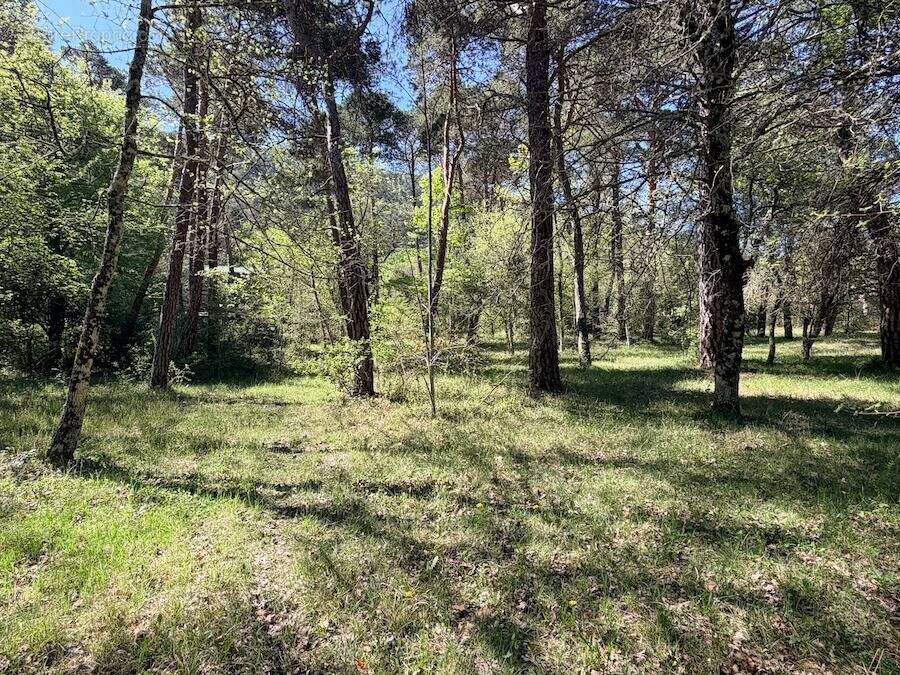 Terrain à PLAN-D'AUPS-SAINTE-BAUME