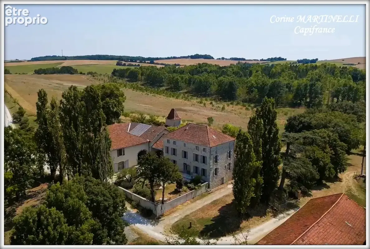 Propriete à vendre 22 pièces proche de AGEN (47) 4 habitations 885 m² + dépendances, 27 ha - photo 3