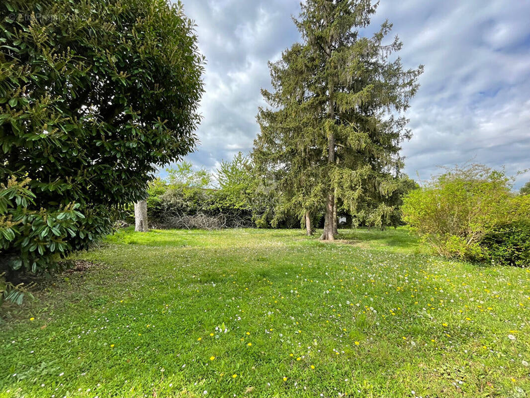 Terrain à SAINT-GERMAIN-EN-LAYE