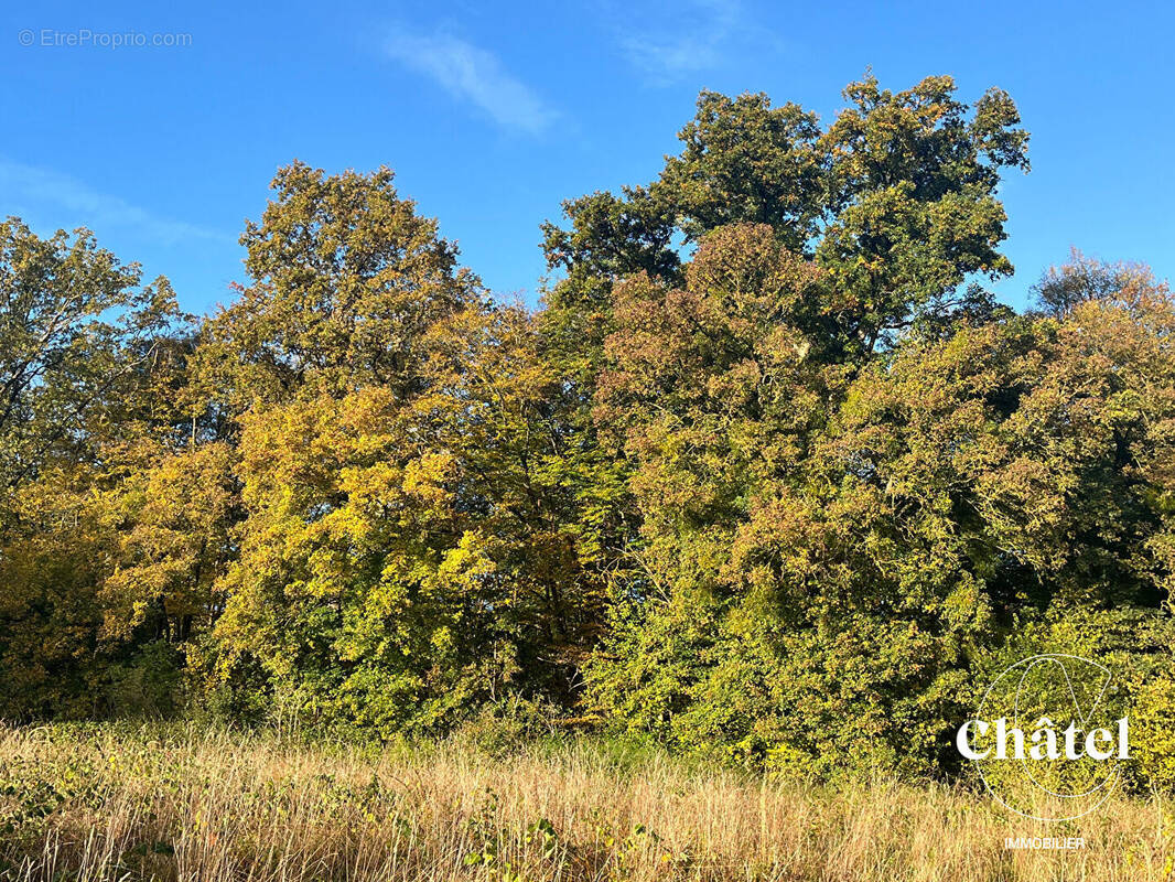Terrain à AVILLY-SAINT-LEONARD