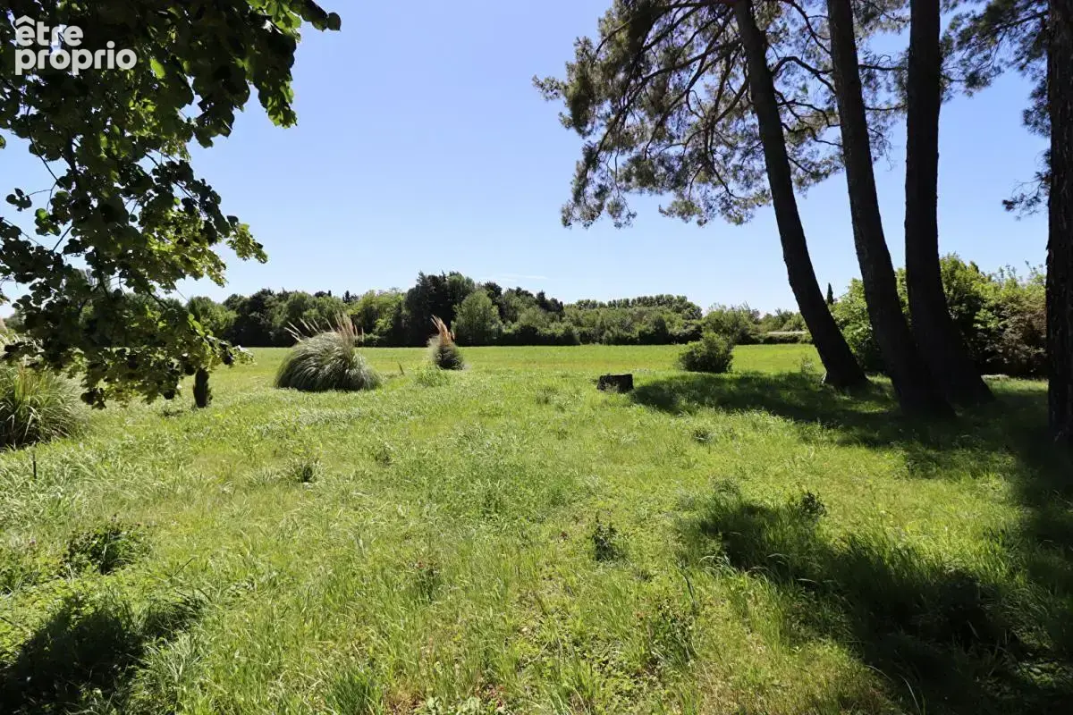 Maison Montfavet 9 pièce(s) 280 m2 - photo 4