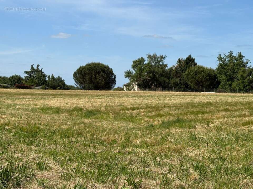 Terrain à VACQUIERS