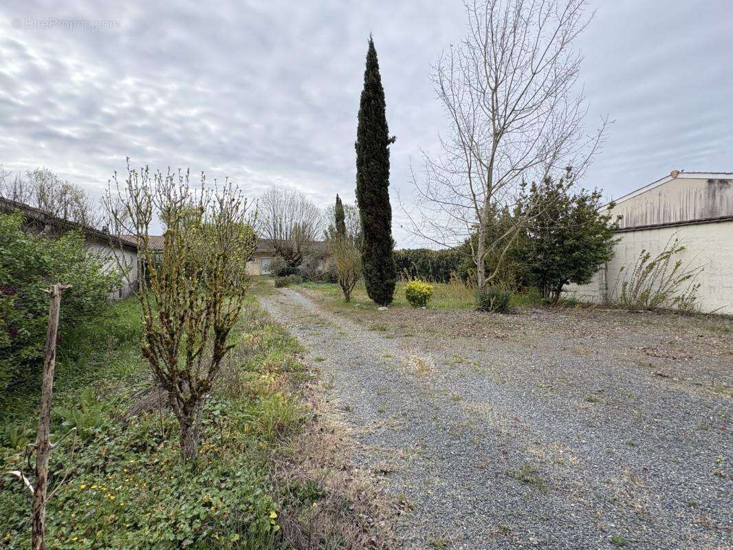 Terrain à CASTELNAU-DE-MEDOC