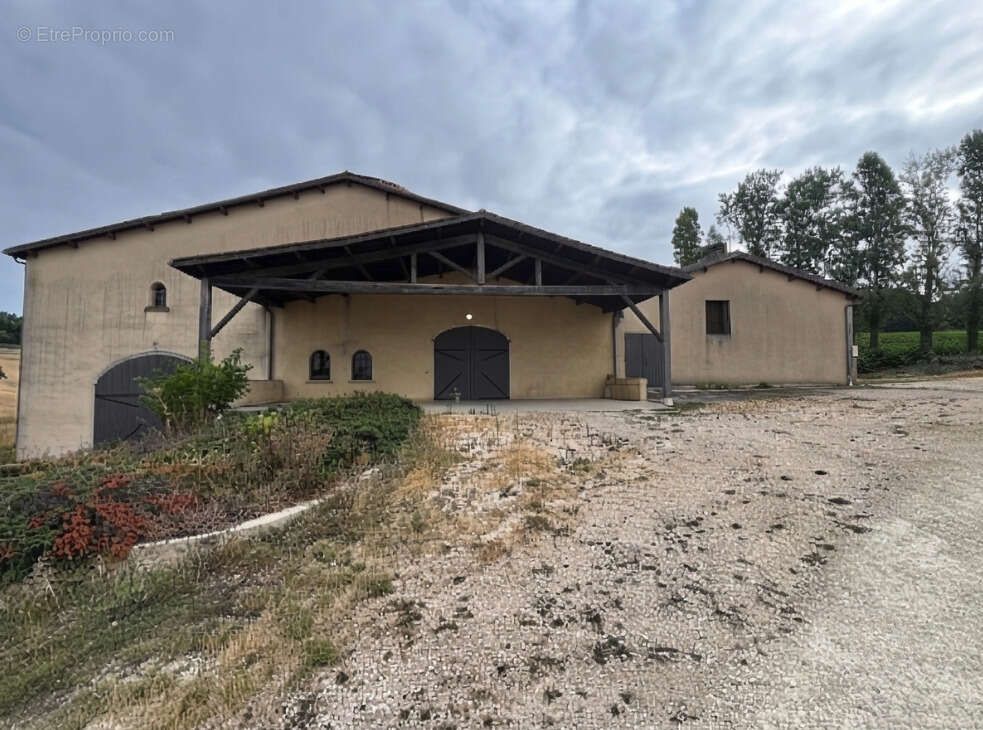 Domaine Viticole - 17 Hectares - AOP Buzet - photo 3