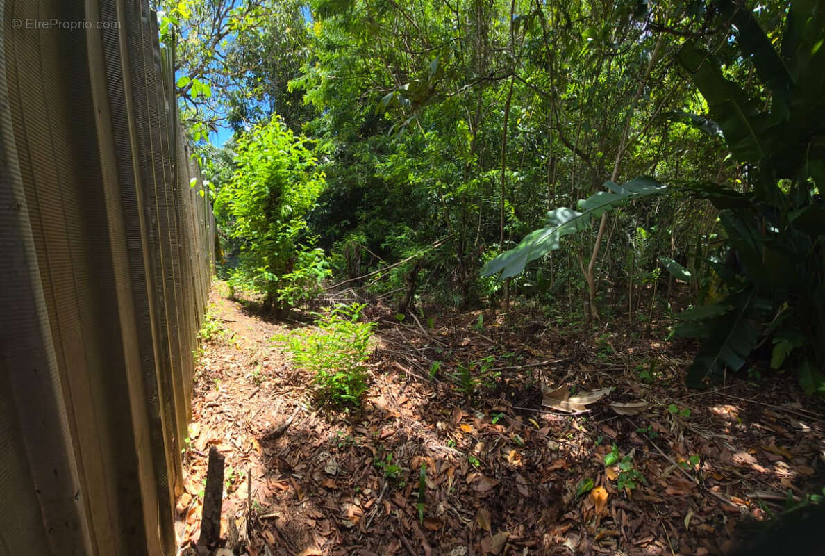 Terrain à REMIRE-MONTJOLY