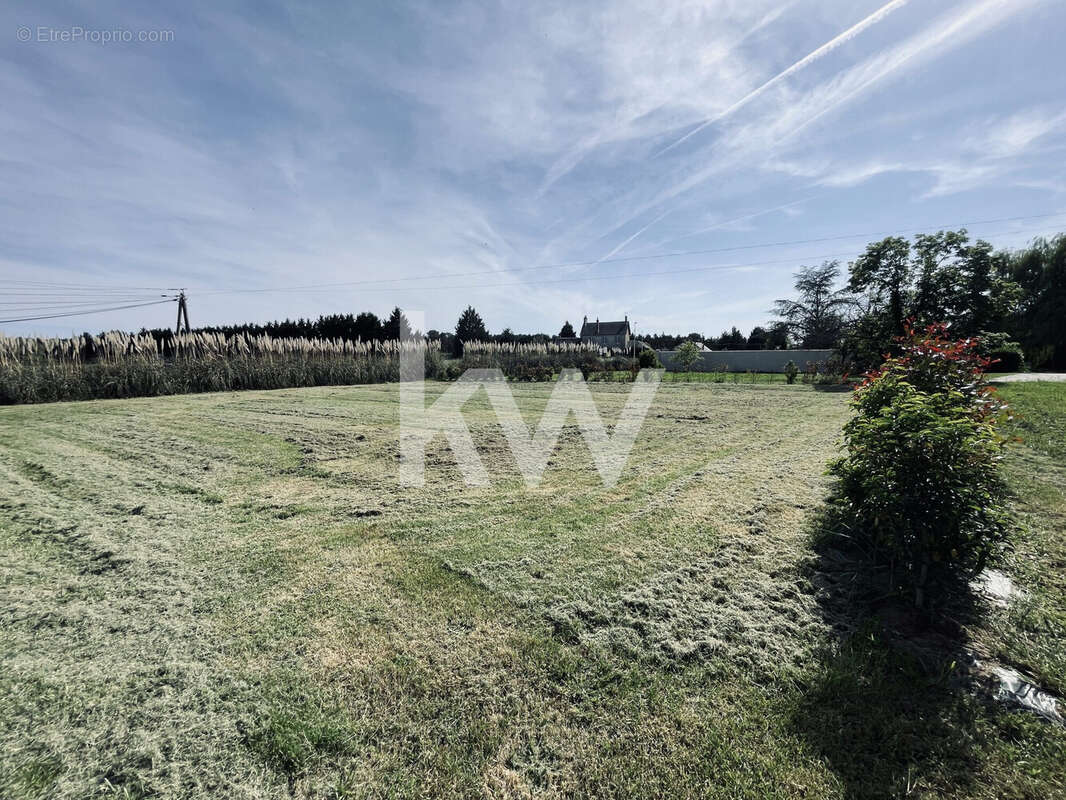 Terrain à FONTAINES-EN-SOLOGNE