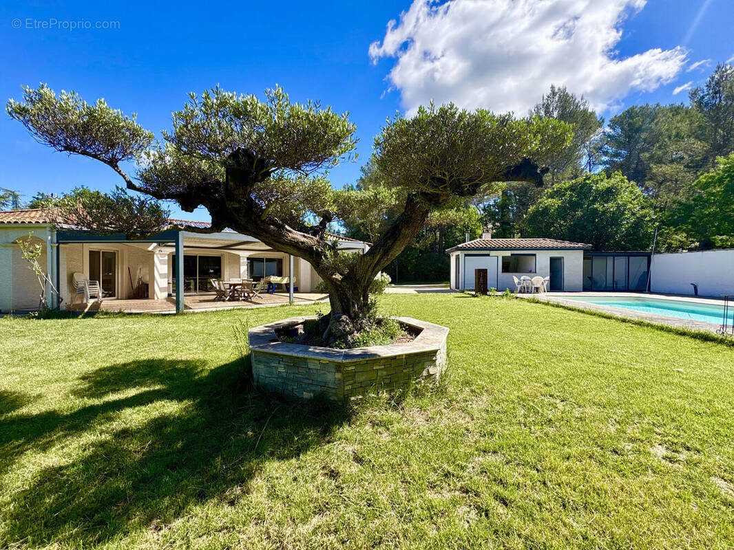 Photo 1 - Maison à PRADES-LE-LEZ