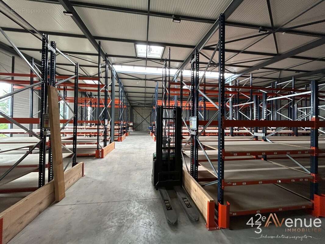 Commerce à BAS-EN-BASSET