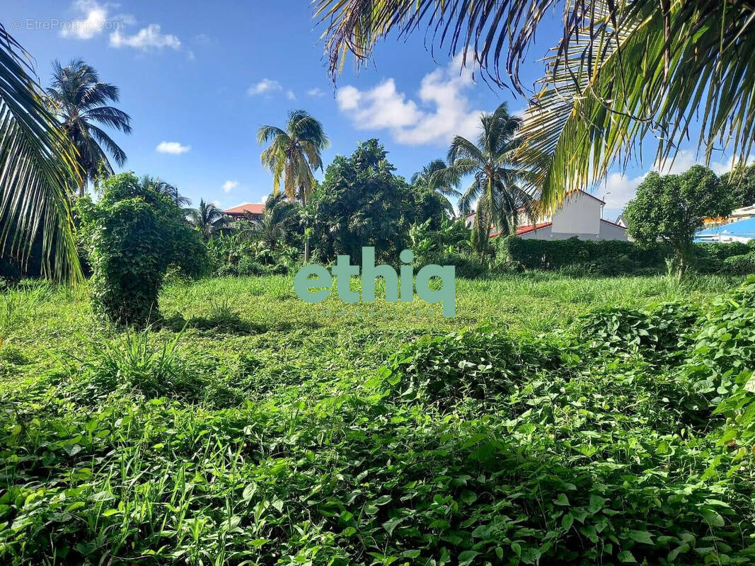 Terrain à CAPESTERRE-BELLE-EAU