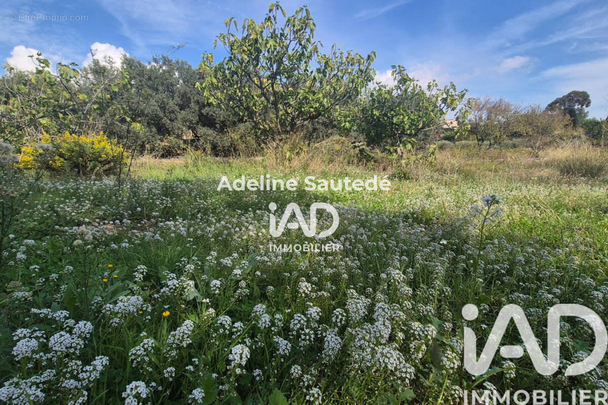 Photo 1 - Terrain à SAINT-CYR-SUR-MER