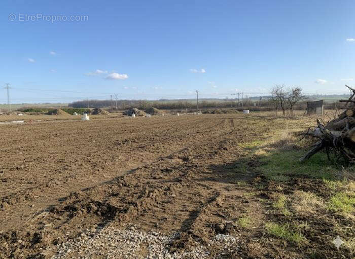 Terrain à DISTROFF