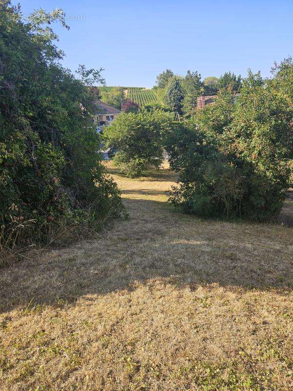 Terrain à bâtir - photo 2