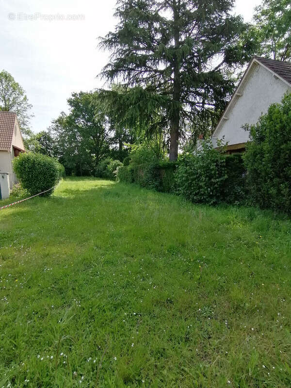 Terrain à SAINT-PIAT