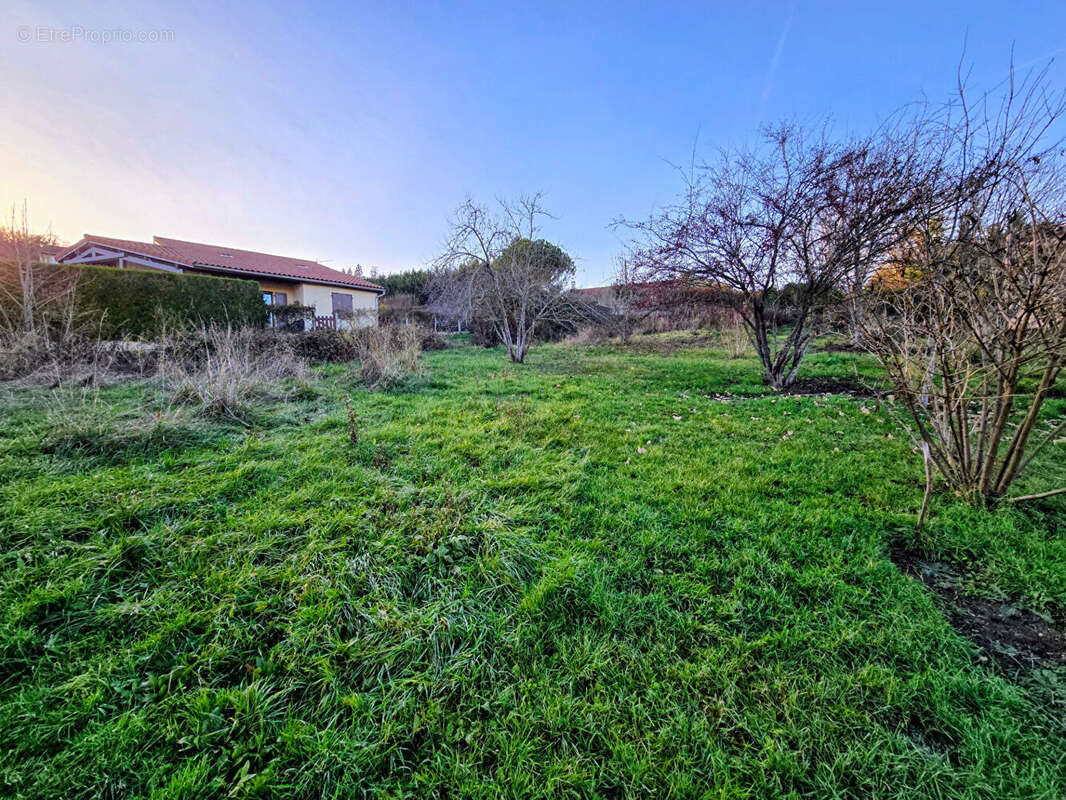 Terrain Espaly Saint Marcel 1185 m2 - photo 4