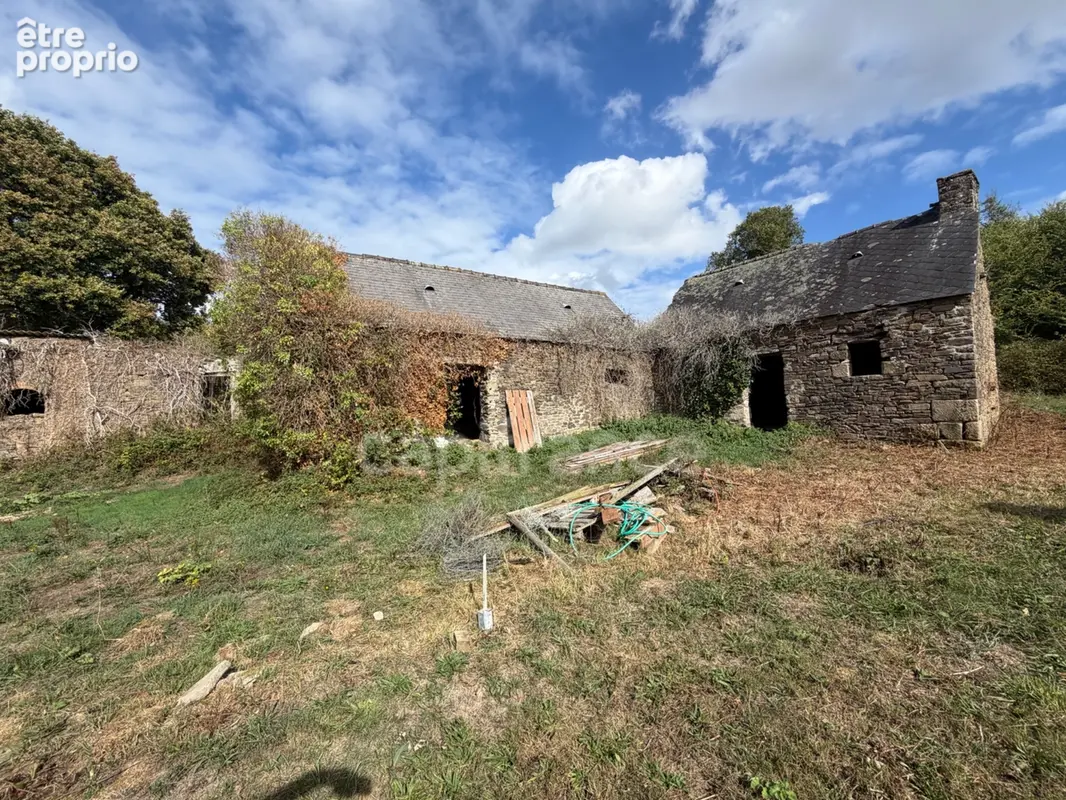 EXCLUSIVITÉ - TREBRIVAN - Maison avec terrain de plus de 2 hectares et dépendances à vendre 5 pièces  (22) - photo 3
