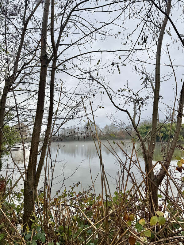 Terrain à SAINT-SYMPHORIEN-D&#039;ANCELLES