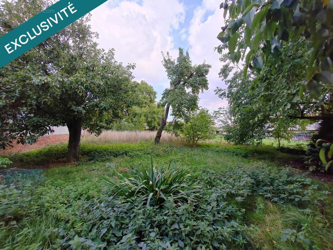 Photo 6 - Maison à VENDEGIES-SUR-ECAILLON