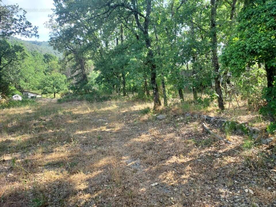 Terrain 1100 m² à Neoules  - photo 2