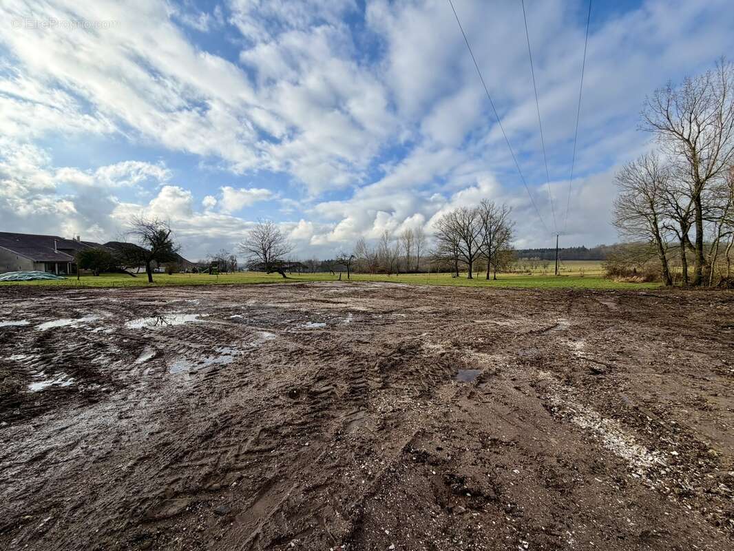 Maison à FENNEVILLER