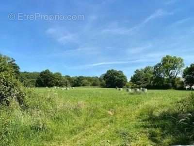 Terrain à LE BREUIL-EN-AUGE