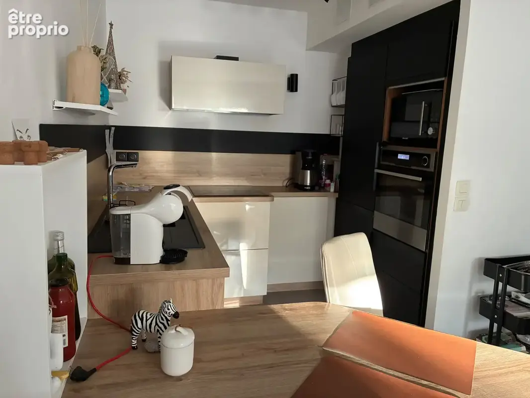 T3 refait Rez-de-chaussée traversant + Terrasse + Balcon + Garage - photo 3