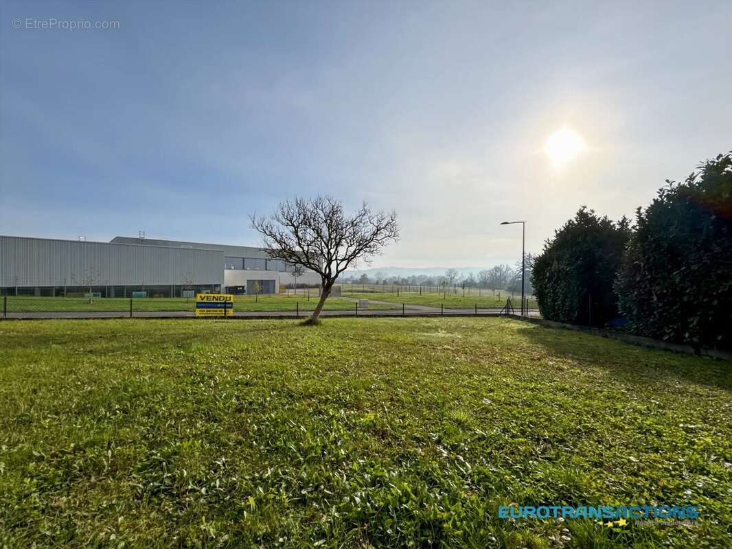 Maison à NIEDERMODERN