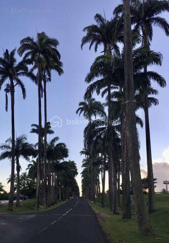 Appartement à CAPESTERRE-BELLE-EAU