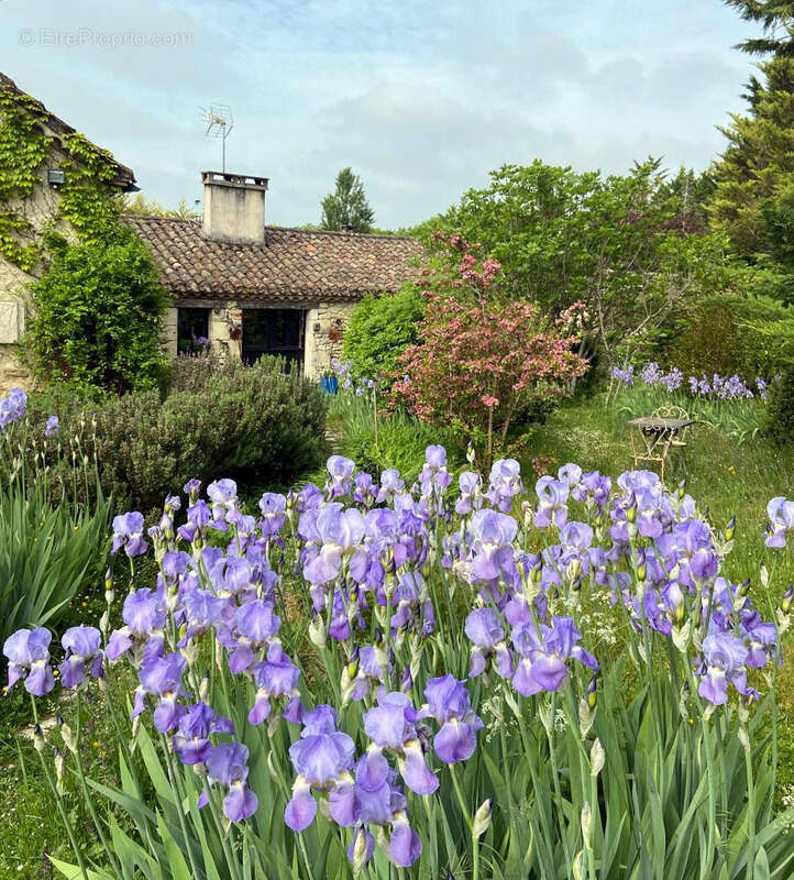 Maison à BEAUVILLE