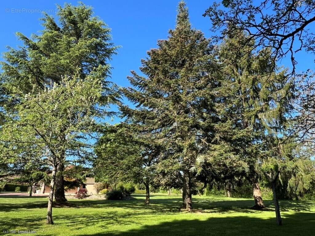 Maison à SAUZE-VAUSSAIS