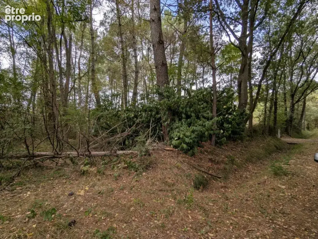 Terrain à vendre de 2 187,00 m² MEZERAY (72) - photo 9