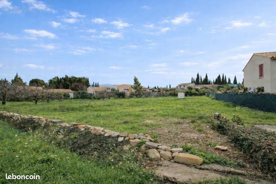 Terrain à CAUNES-MINERVOIS