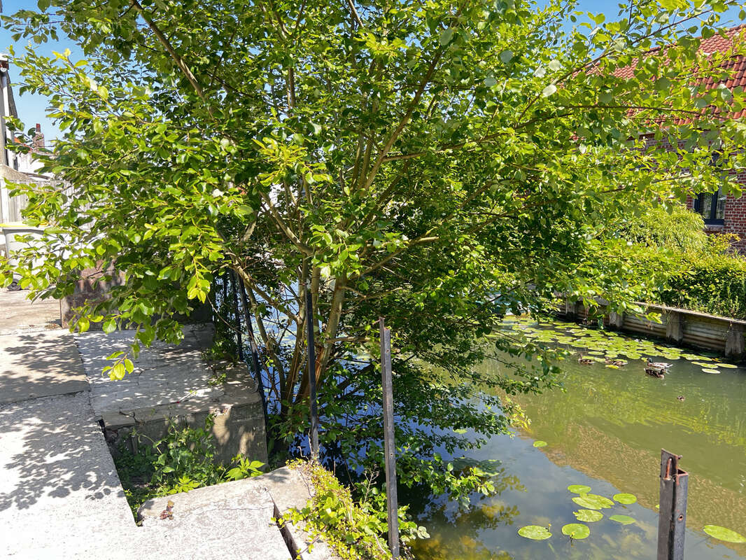 Maison à SAINT-OMER