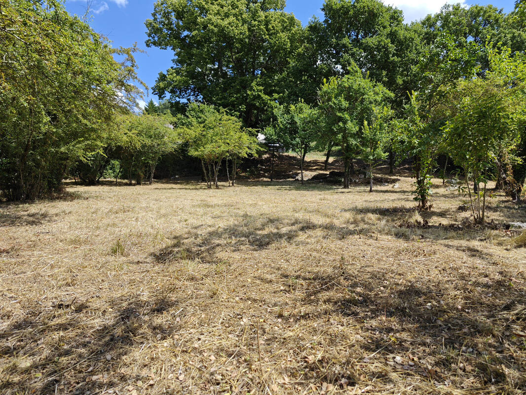 Terrain à SAINT-JEAN-DE-MARUEJOLS-ET-AVEJAN