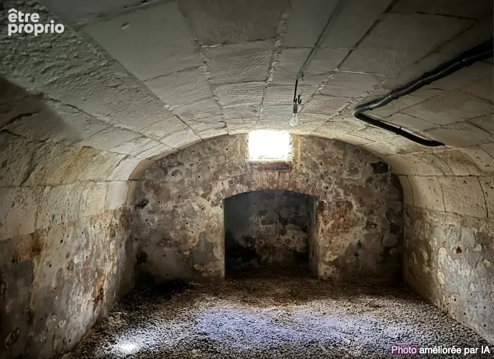 Belle bâtisse pour investissement locatif ou patrimonial - Meusnes - photo 9