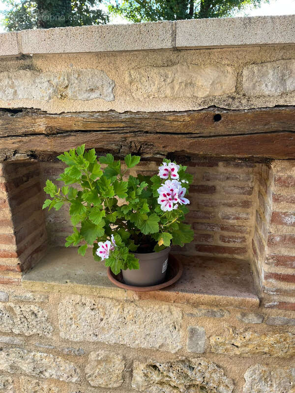 Maison à LAUZERTE