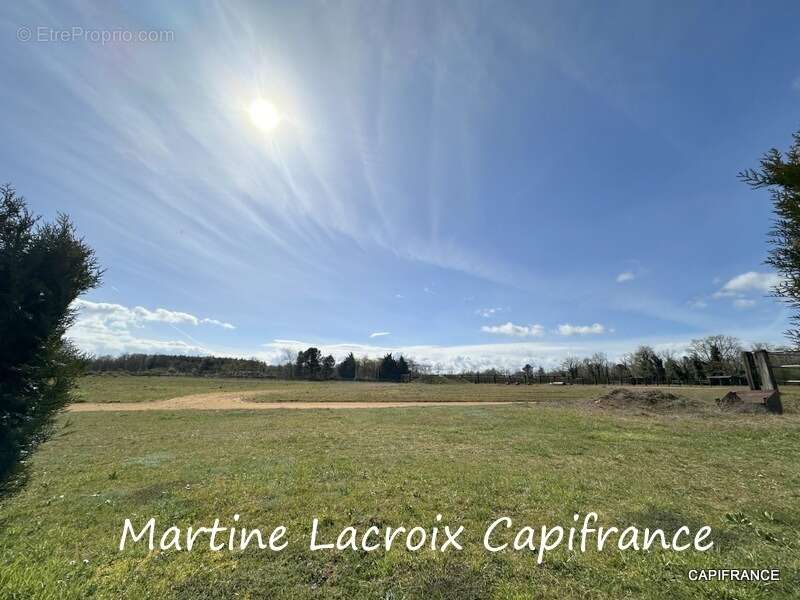 Dpt SARTHE (72), à vendre LA FERTÉ-BERNARD - PROPRIÉTÉ  P5 de 100 m² - Terrain de 10 Ha - photo 12