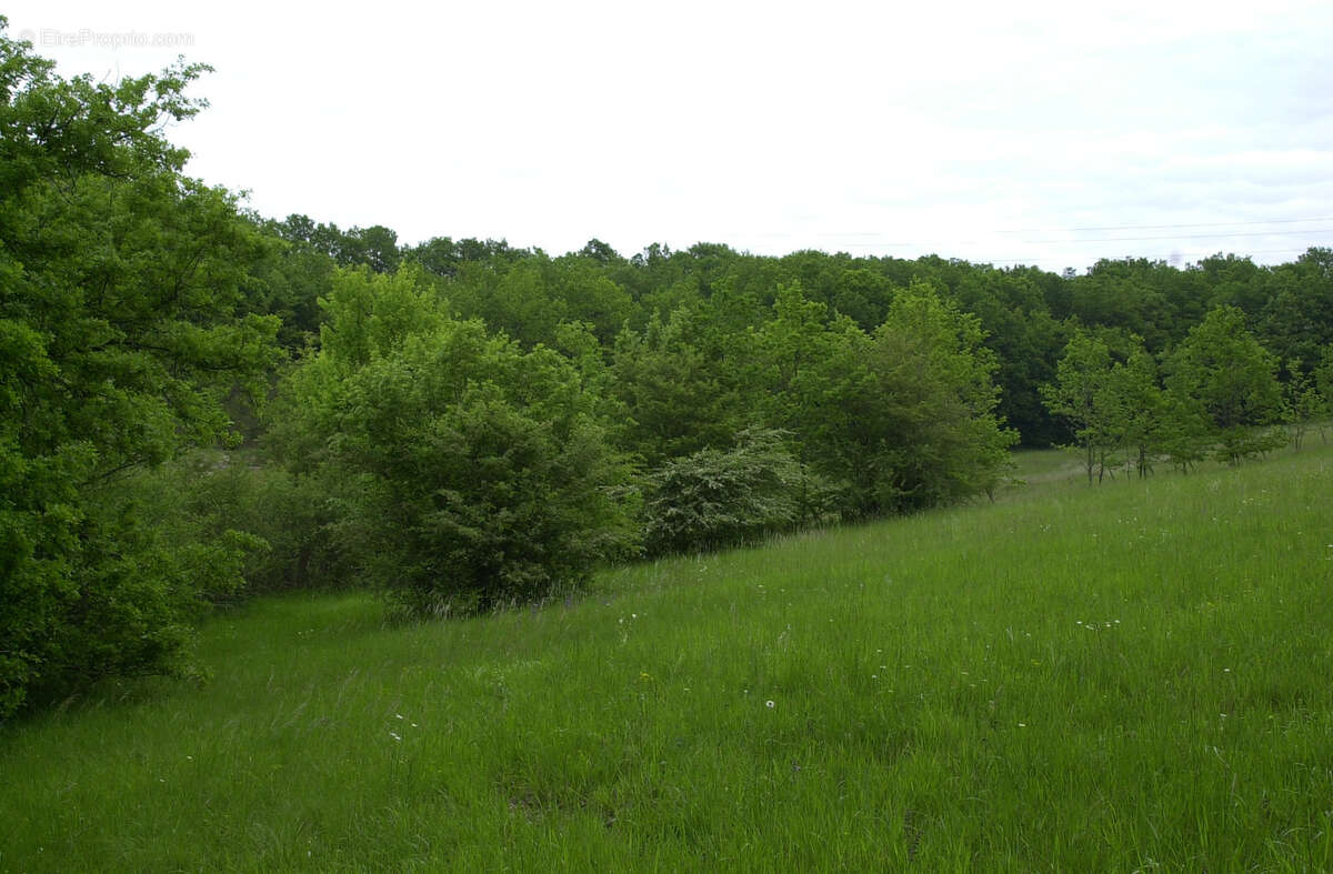 Terrain à LAROQUE-TIMBAUT