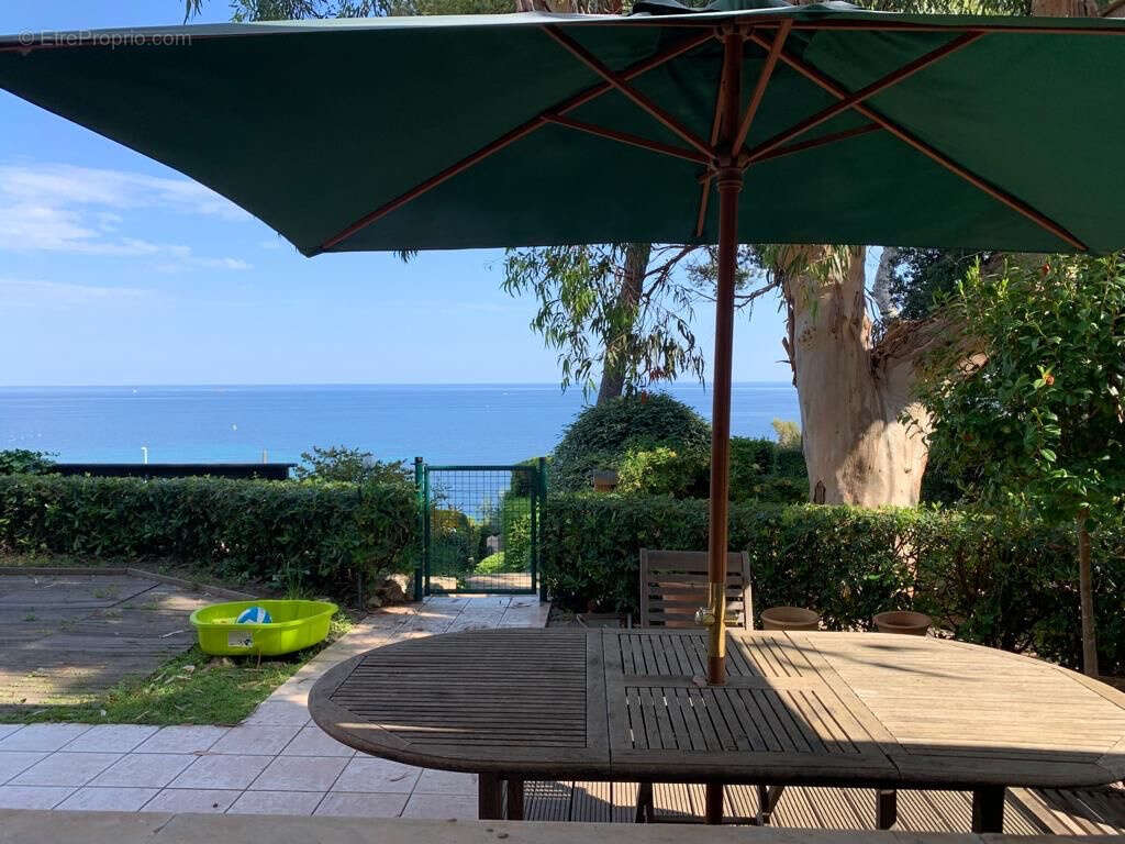 Cannes basse californie villa face mer vue panoramique - photo 11