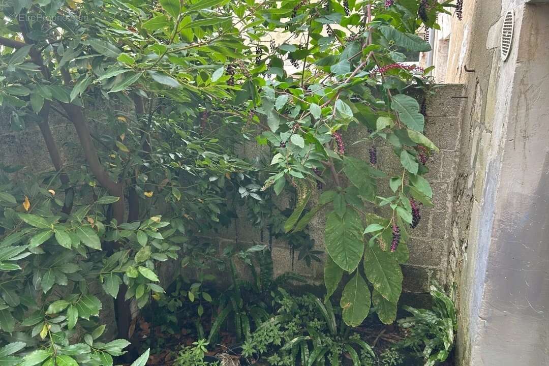 Maison à SAINT-JEAN-D&#039;ANGELY